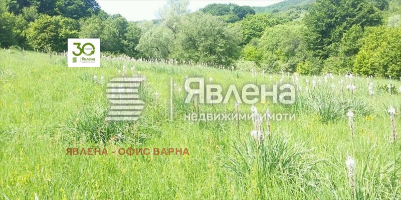 Продава ПАРЦЕЛ, с. Сушина, област Шумен, снимка 1 - Парцели - 47842736