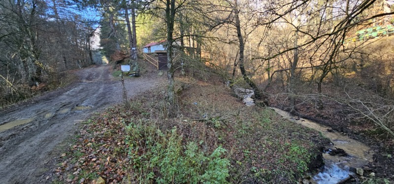 Продава ПАРЦЕЛ, гр. Разлог, област Благоевград, снимка 2 - Парцели - 52797981