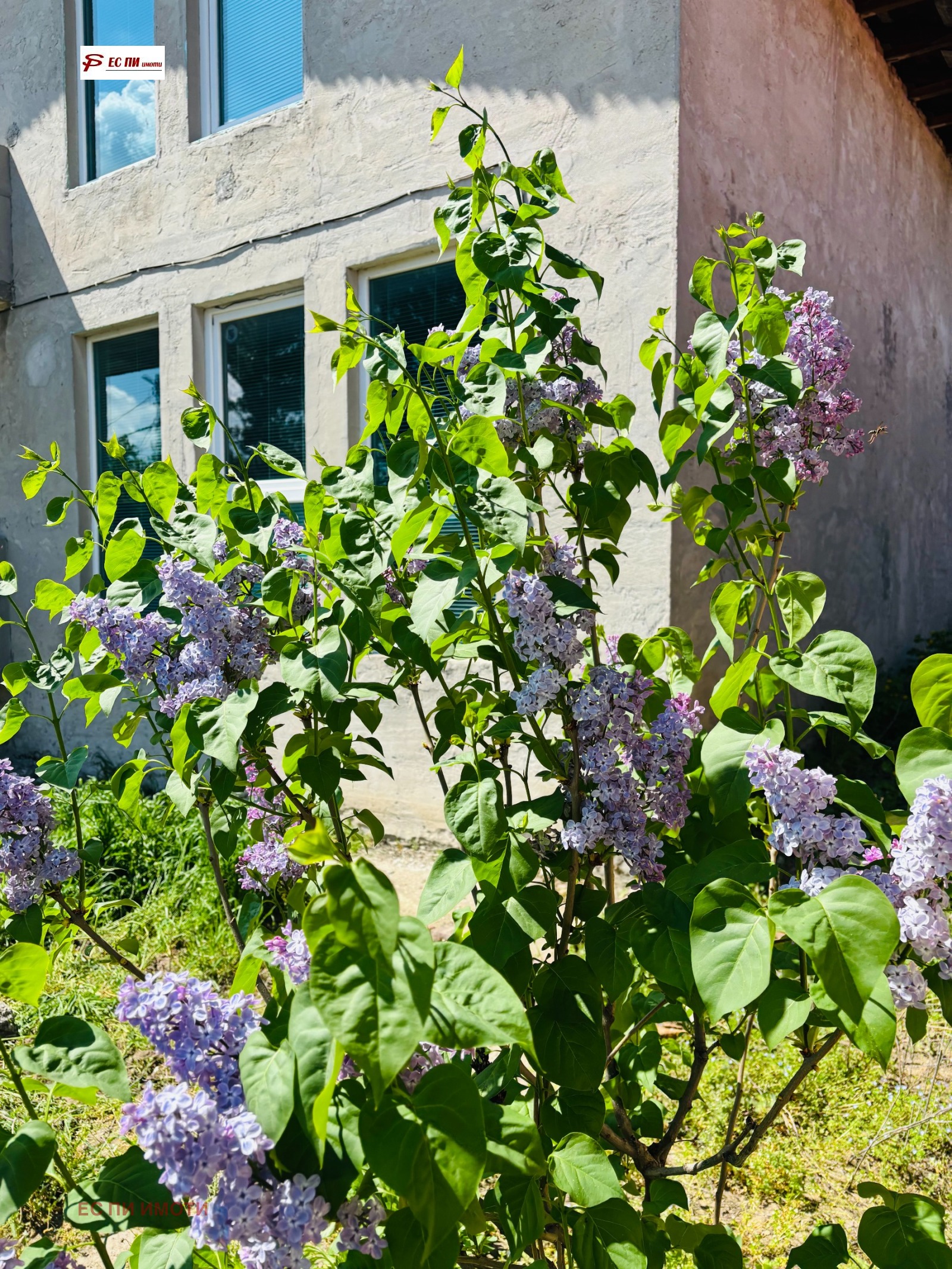 Продава КЪЩА, гр. Русе, Център, снимка 15 - Къщи - 48187971