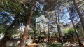 Продава МНОГОСТАЕН, град София, Павлово • 320000 € • 48409598 — Holmes.bg