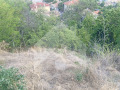 Продава ПАРЦЕЛ, град Шумен, Дивдядово • 100000 лв. • 42994675 — Holmes.bg