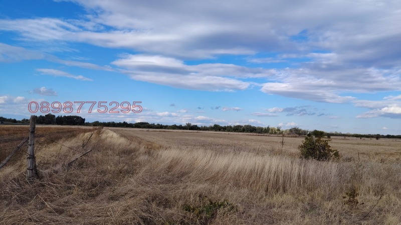 Продава ЗЕМЕДЕЛСКА ЗЕМЯ, с. Оризари, област Пловдив, снимка 9 - Земеделска земя - 52647351