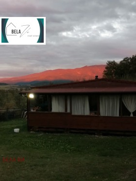 ������ ������� ����