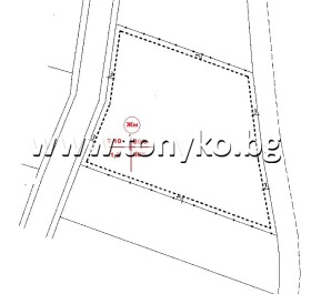 ����� ������� ������,��. ����, ������ �������