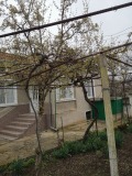 Продава КЪЩА, област Стара Загора, с. Винарово • 50000 € / 97791.50 лв. • 60776264 1