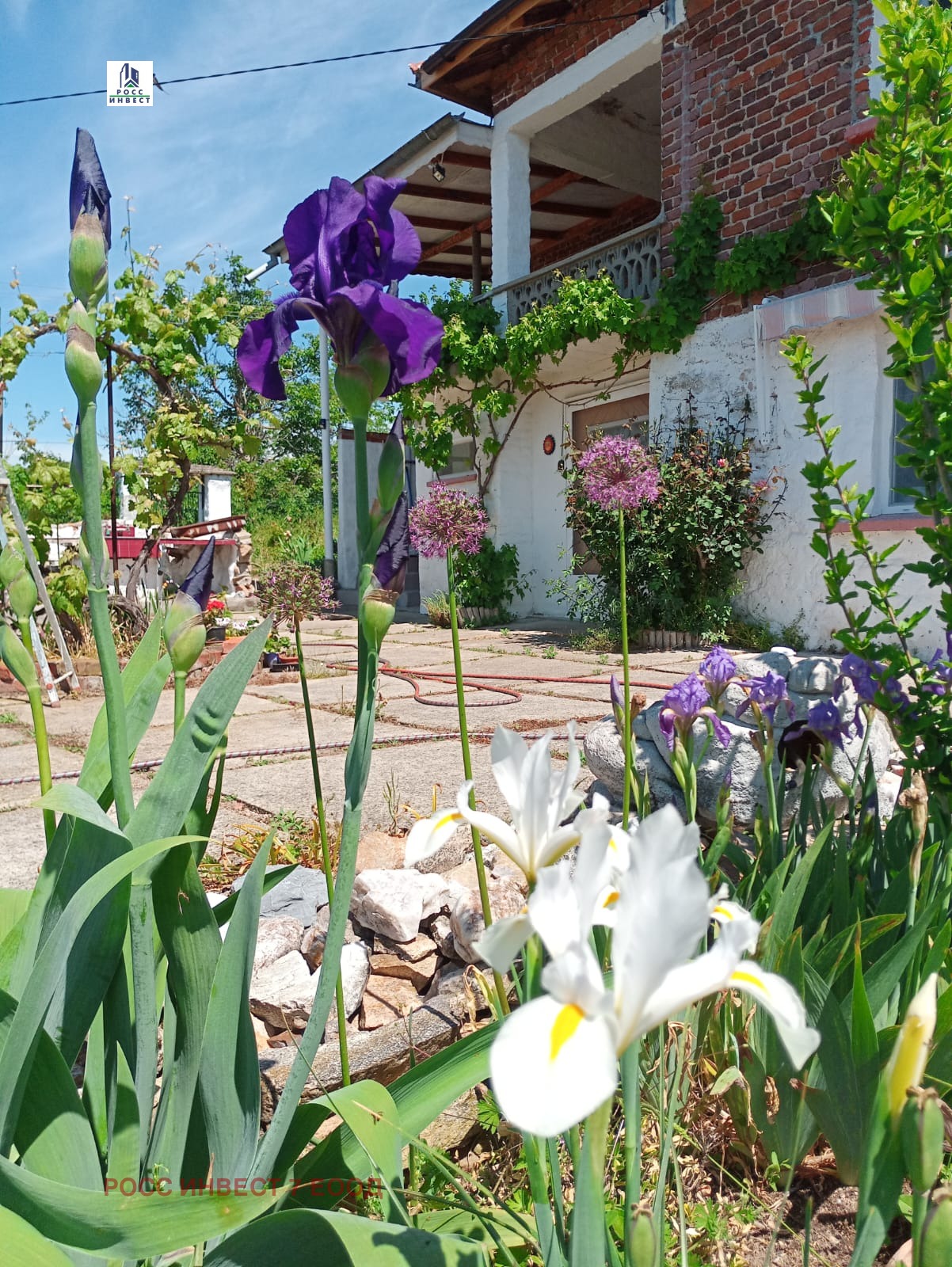 ������� ���� | Imot.bg � ����������� 12