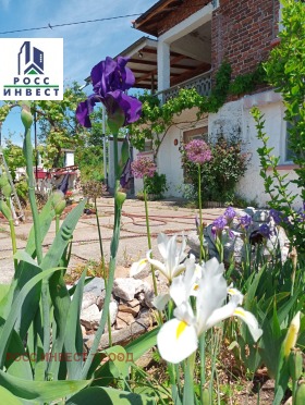 ������� ���� | Imot.bg � ����� ������ 12