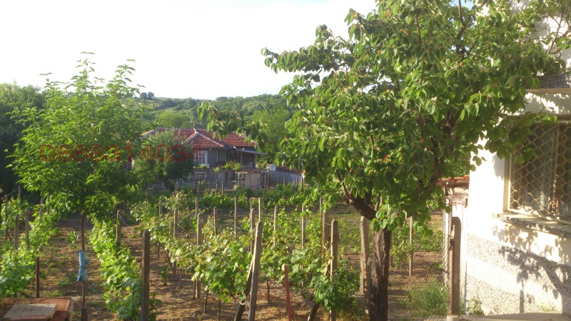 Продава КЪЩА, с. Драгойново, област Пловдив, снимка 4 - Къщи - 53065725