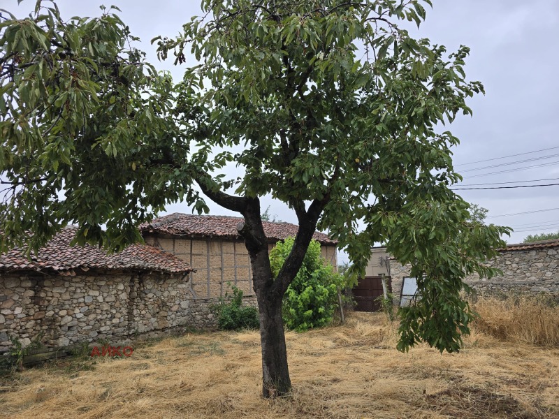 Til salgs  Hus region Plovdiv , Iganovo , 160 kvm | 15371878 - bilde [12]