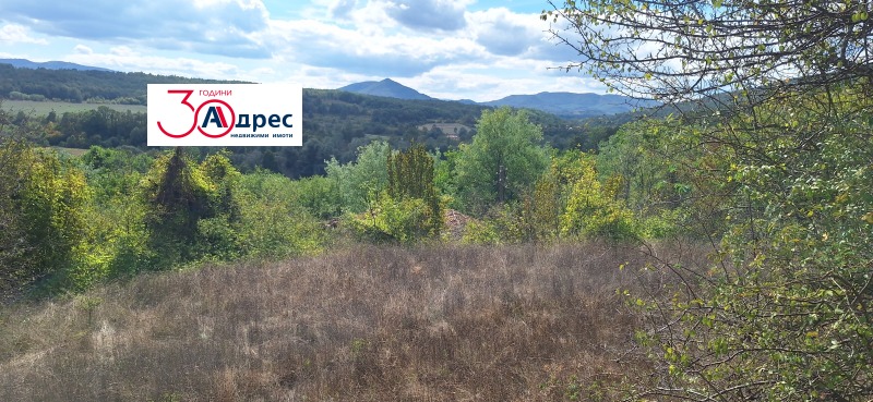 Na prodej  Spiknutí oblast Veliko Tarnovo , Elena , 836 m2 | 76571364 - obraz [5]
