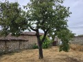 Продава КЪЩА, област Пловдив, с. Иганово • 150000 лв. • 71698272 — Holmes.bg