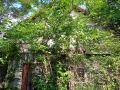 Продава ВИЛА, град Русе, в.з. Левента • 26500 € / 51829.49 лв. • 66904868 1