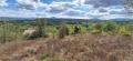 Продава ПАРЦЕЛ, област Велико Търново, гр. Елена • 6000 € • 84501787 — Holmes.bg