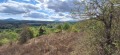 Продава ПАРЦЕЛ, област Велико Търново, гр. Елена • 6000 € • 84501787 — Holmes.bg