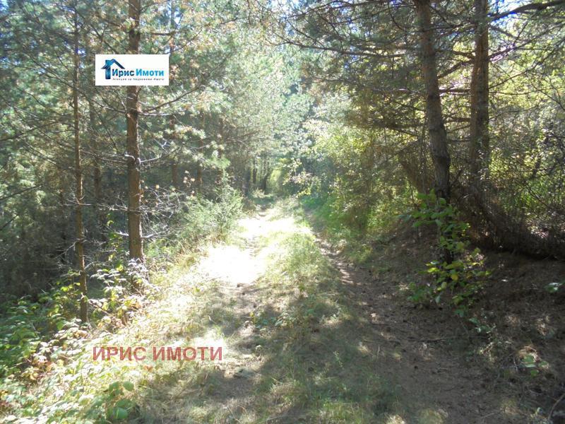 Продава ПАРЦЕЛ | Imot.bg — изображение 2