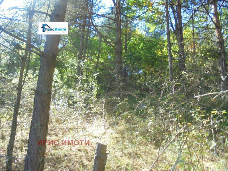 Продава ПАРЦЕЛ | Imot.bg — изображение 1