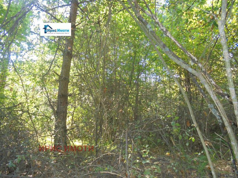 Продава ПАРЦЕЛ | Imot.bg — изображение 4