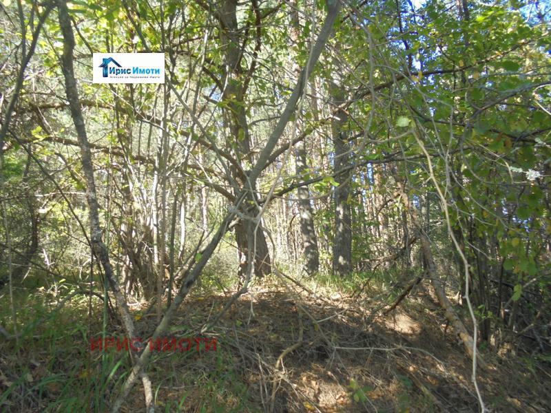 Продава ПАРЦЕЛ | Imot.bg — изображение 5