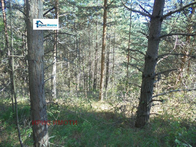 Продава ПАРЦЕЛ | Imot.bg — изображение 6