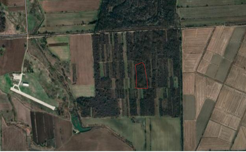 Продава  Земеделска земя област Пазарджик , с. Пищигово , 4.306 дка | 93103924 - изображение [2]