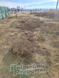 Продава ПАРЦЕЛ, област Пловдив, с. Марково • 155000 € • 38795172 — Holmes.bg
