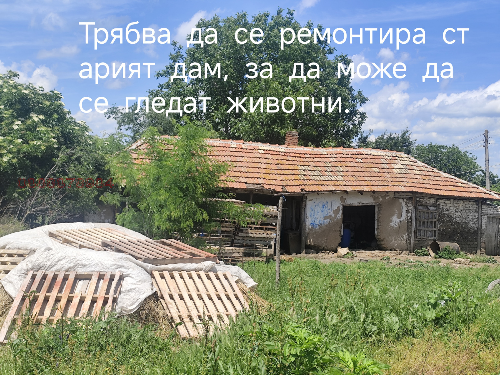 ������� ���� | Imot.bg � ����������� 14