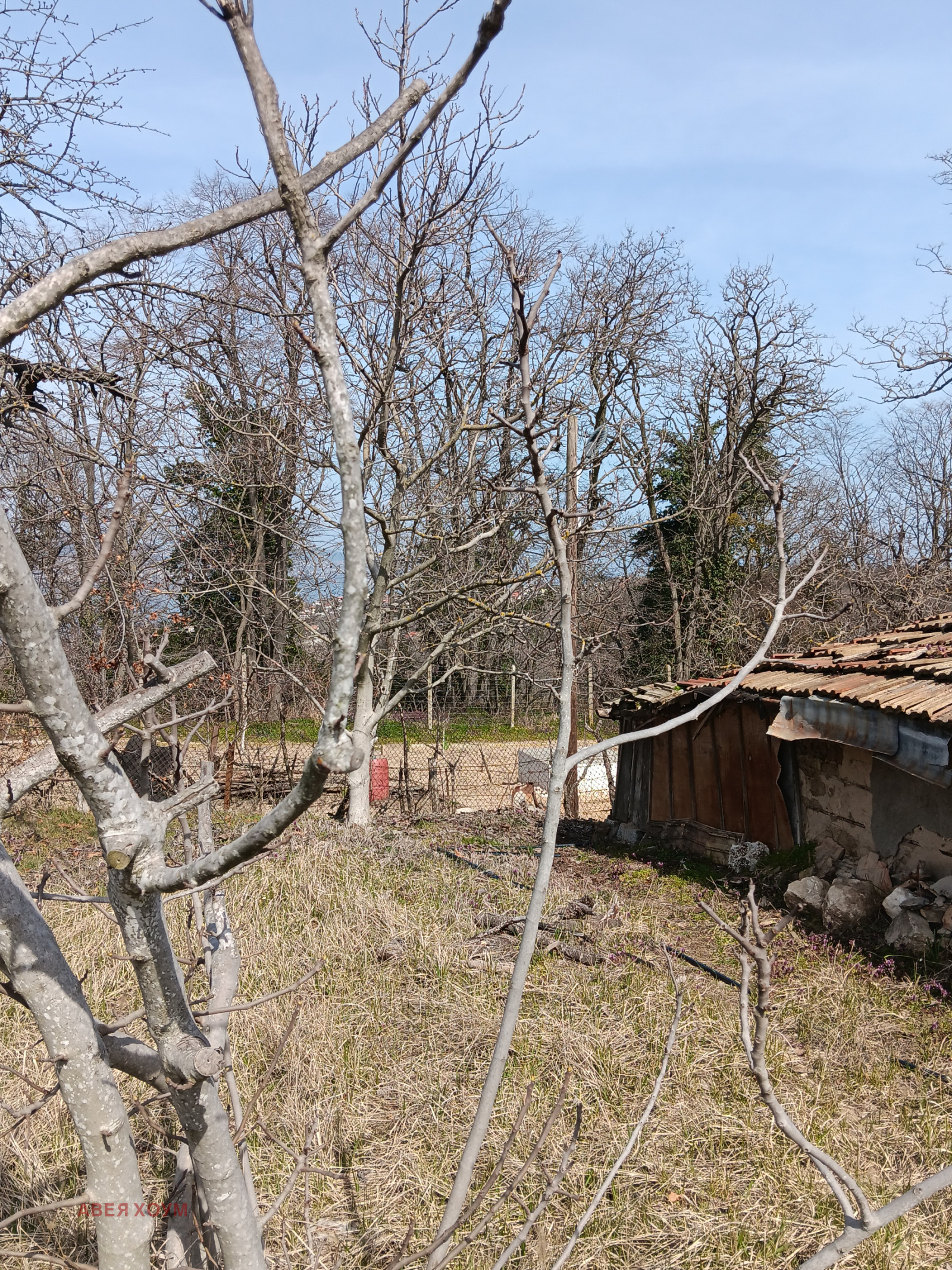 ������� ������ | Imot.bg � ����������� 7