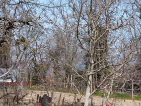 ������� ������ | Imot.bg � ����� ������ 3