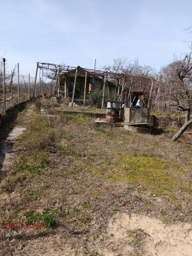 ������� ������ | Imot.bg � ����� ������ 2