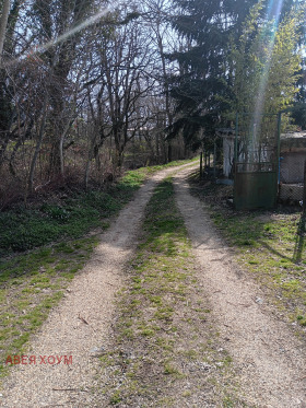 ������� ������ | Imot.bg � ����� ������ 8