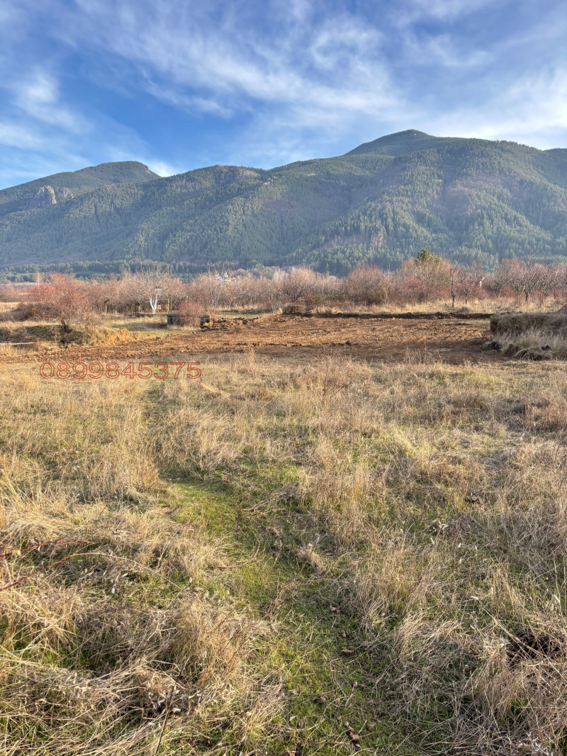 Продава ПАРЦЕЛ, с. Ресилово, област Кюстендил, снимка 2 - Парцели - 52817982