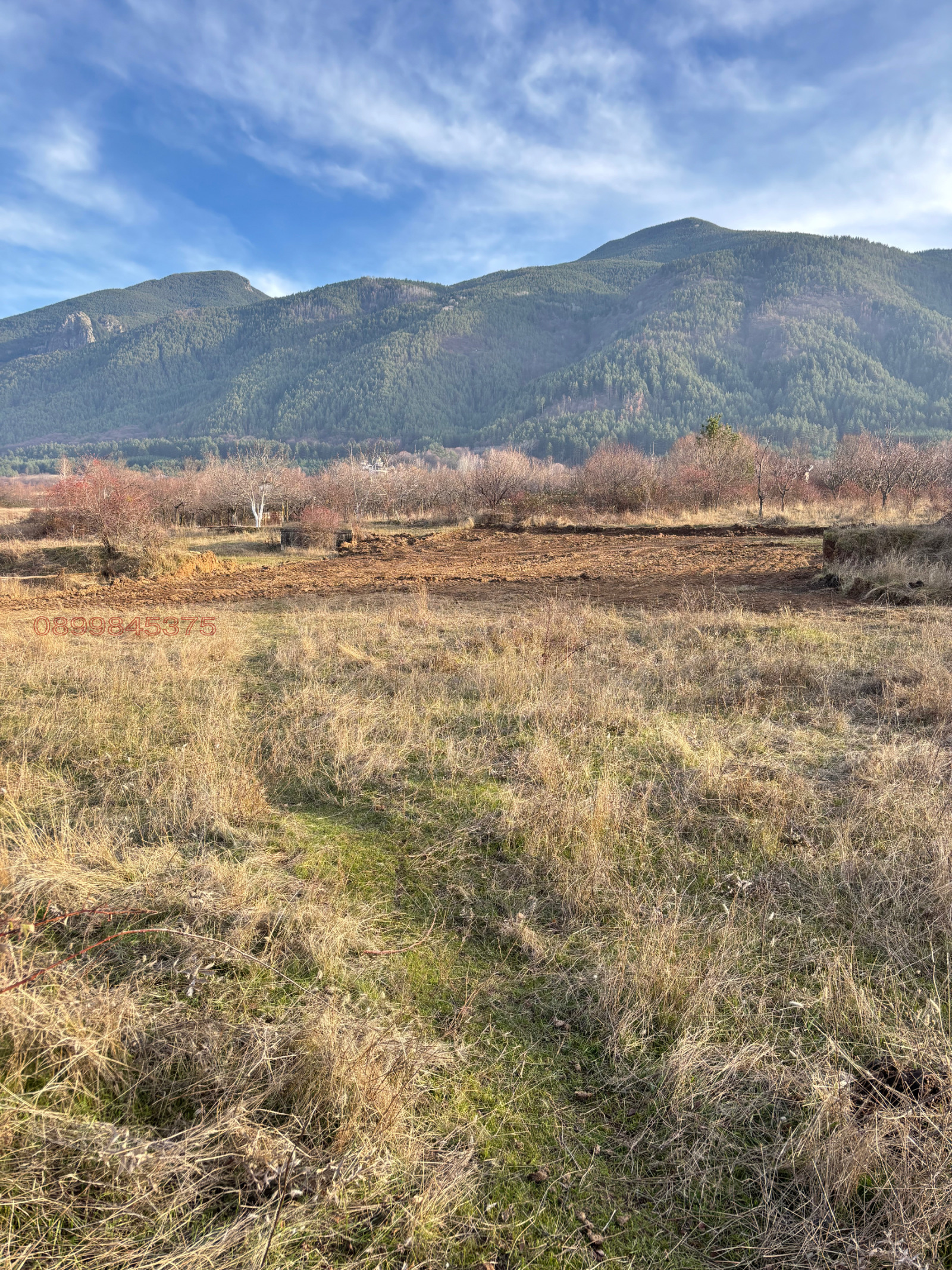 Продава ПАРЦЕЛ, с. Ресилово, област Кюстендил, снимка 2 - Парцели - 52817982