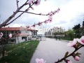 Продава  2-стаен област Варна , с. Приселци , 60 кв.м | 33664751 - изображение [11]