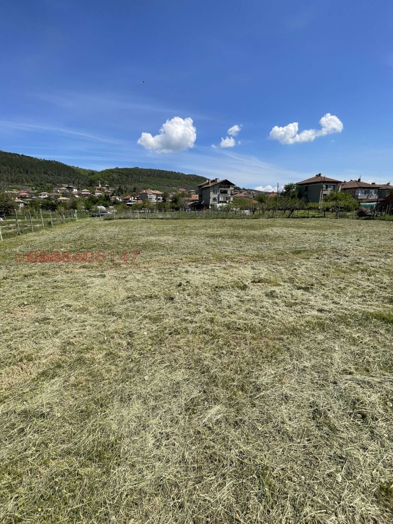 Til salg  Grund region Veliko Tarnovo , Debelets , 1250 kvm | 88527115 - billede [2]
