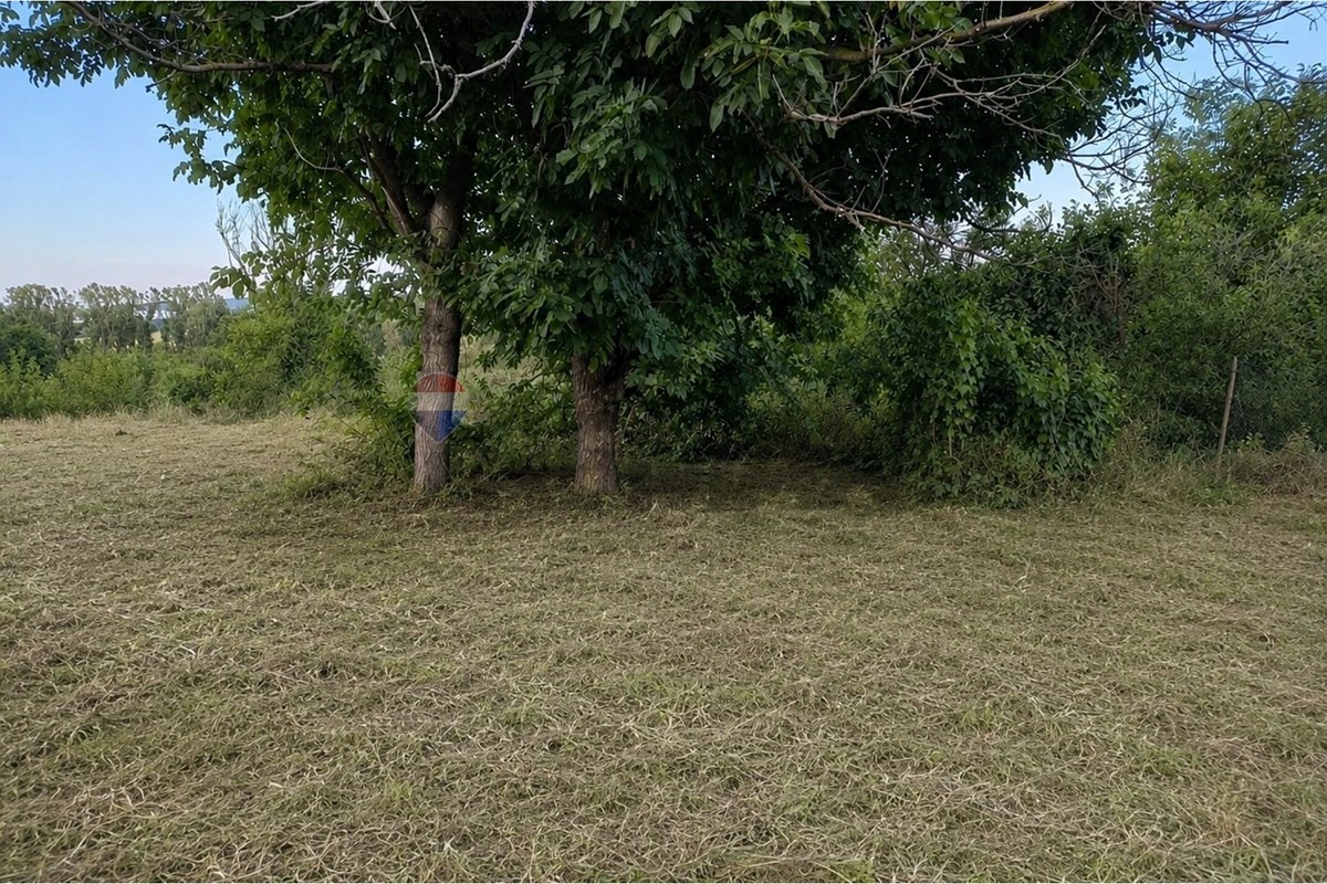 Продава ПАРЦЕЛ, с. Радко Димитриево, област Шумен, снимка 2 - Парцели - 55844385