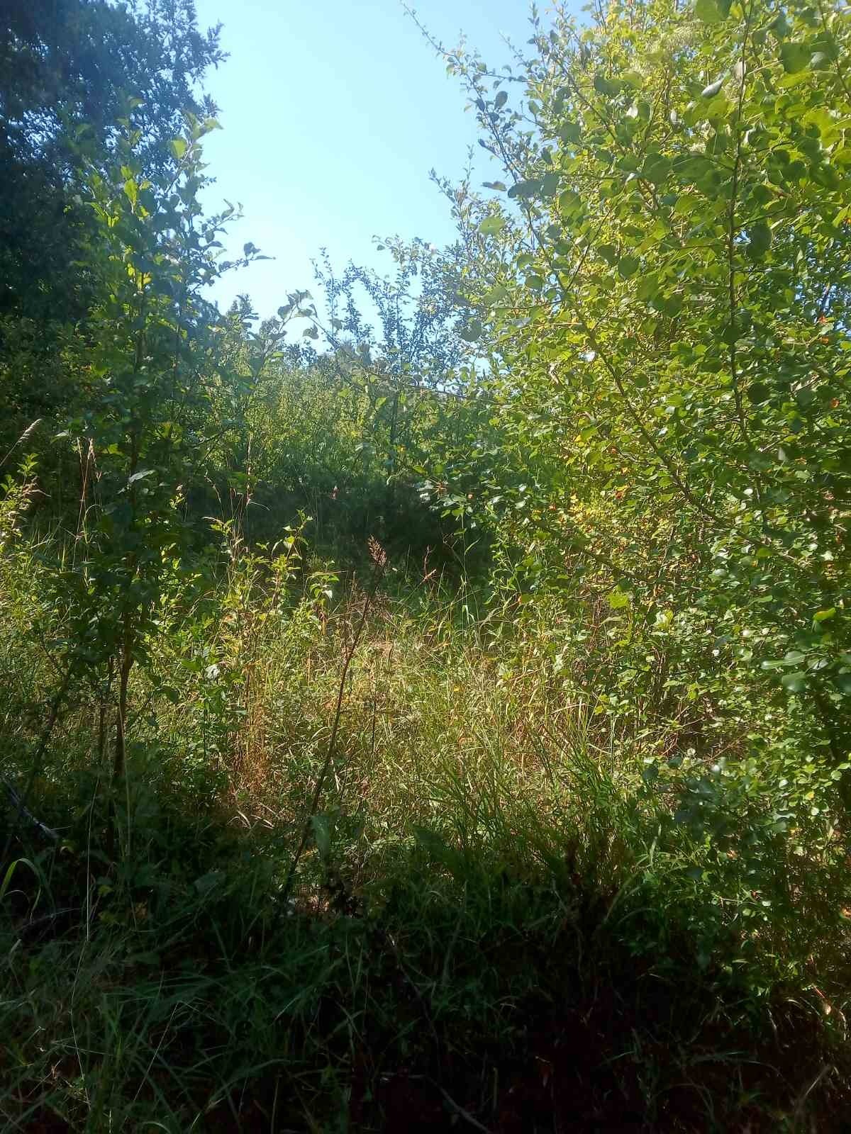 Продава ПАРЦЕЛ, гр. София, с. Мърчаево, снимка 2 - Парцели - 55828591
