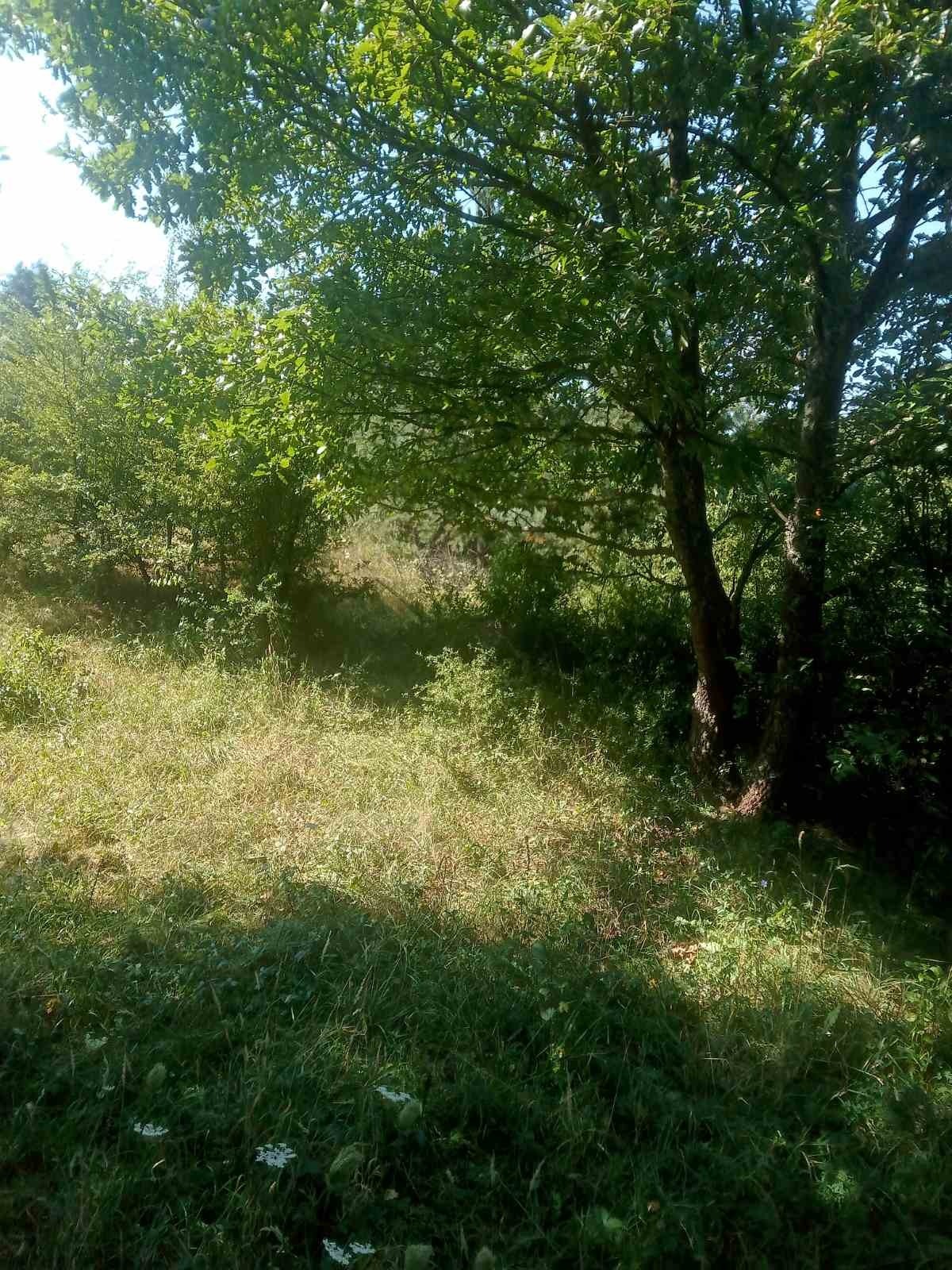 Продава ПАРЦЕЛ, гр. София, с. Мърчаево, снимка 5 - Парцели - 55828591