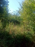 Продава ПАРЦЕЛ, гр. София, с. Мърчаево, снимка 2
