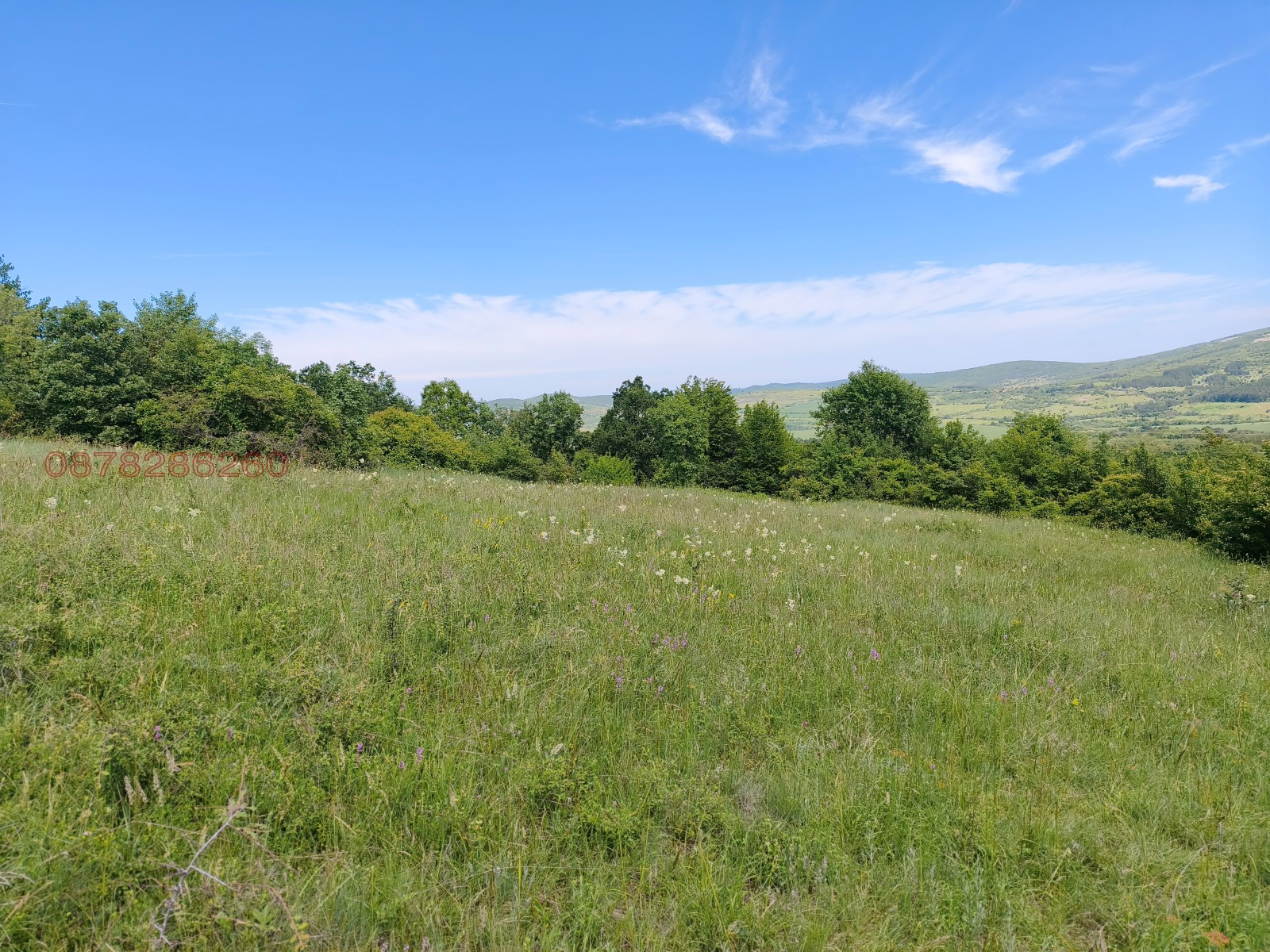 ������� ������ | Imot.bg � ����������� 2