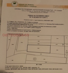 ����� ������� ������,���� �����, ������ �