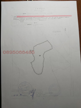 ����� ������� ���������� ����,�. ������, ������ �����