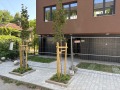 Продава АТЕЛИЕ, ТАВАН, град София, Хаджи Димитър • 128000 € • 83876583 — Holmes.bg