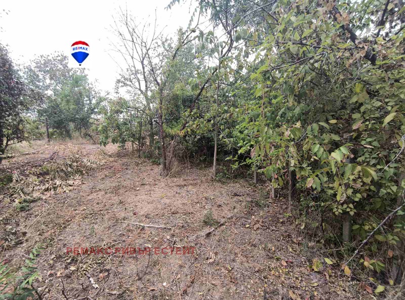 Продава ПАРЦЕЛ в град Русе, Долапите - 1010 кв.м / 21 500 € » 42 050.35 лв., РЕМАКС РИВЪР ЕСТЕЙТ