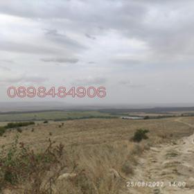 ����� ������� ������,�. �����, ������ �����