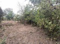 Продава ПАРЦЕЛ, град Русе, Долапите • 21500 € • 50690845 — Holmes.bg
