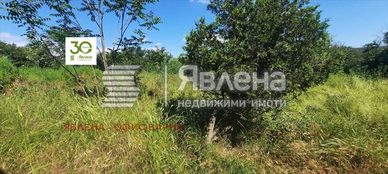 Продава КЪЩА, с. Генерал Киселово, област Варна, снимка 4 - Къщи - 54888611