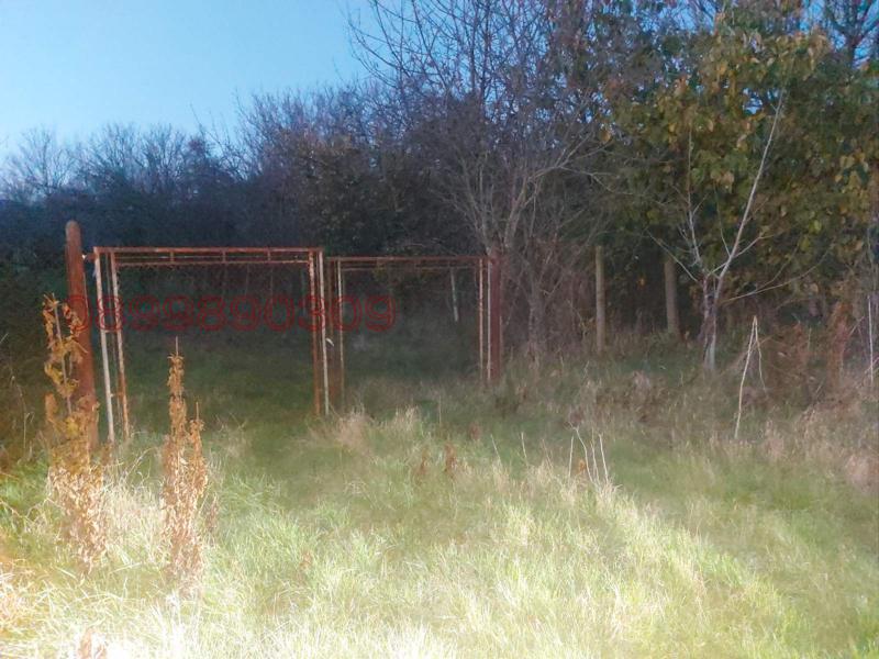 Продава ПАРЦЕЛ, с. Мараш, област Шумен, снимка 4 - Парцели - 52784677