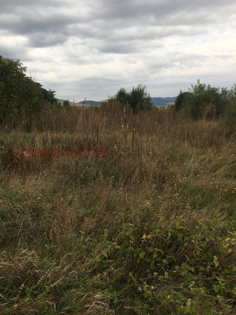 ������� ������ | Imot.bg � ����������� 5