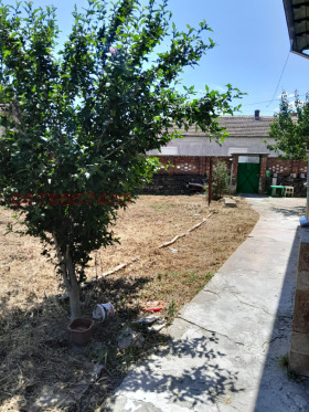 ������� ���� | Imot.bg � ����� ������ 8