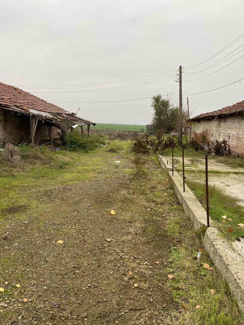 Na prodej  Spiknutí Plovdiv , Industrialna zona - Iztok , 26000 m2 | 14053537 - obraz [5]